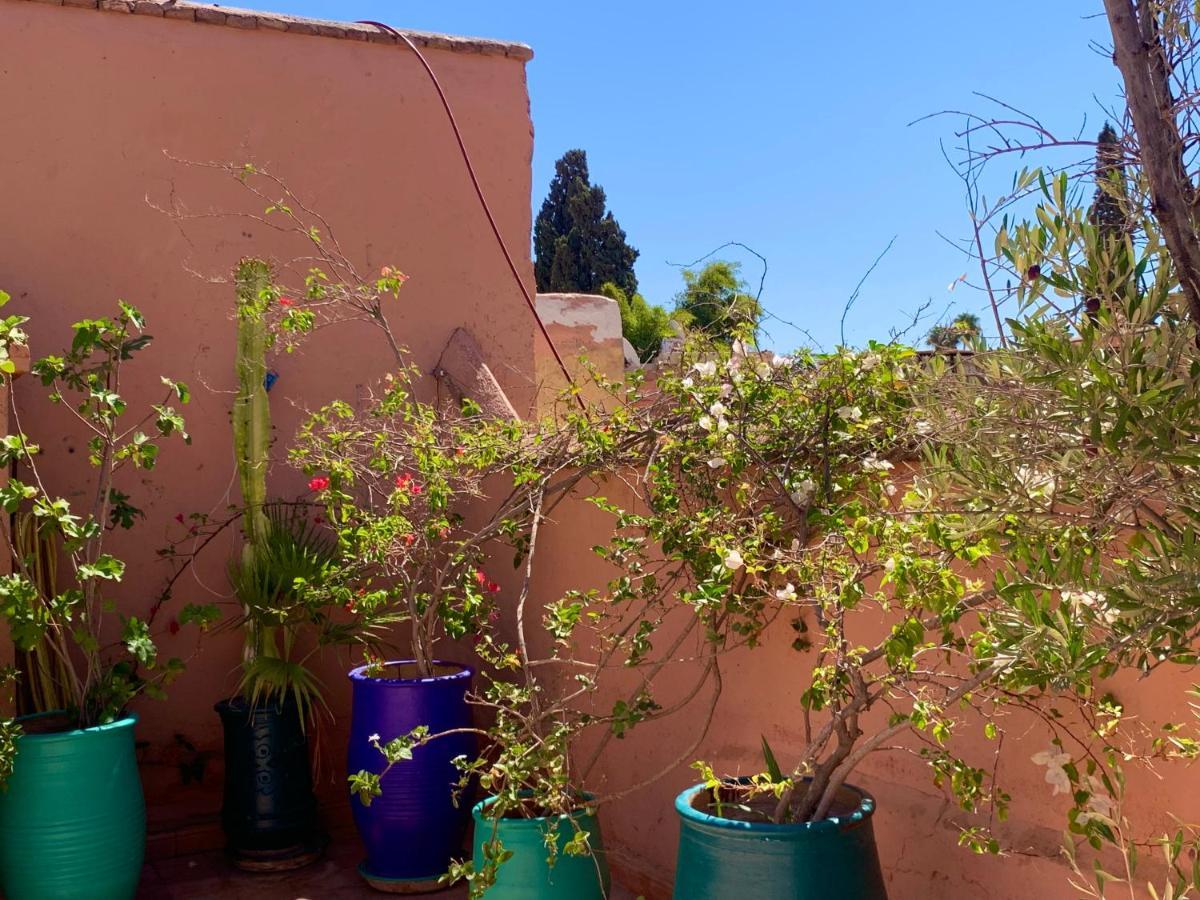 Dar Zemrane Hotel Marrakesh Luaran gambar