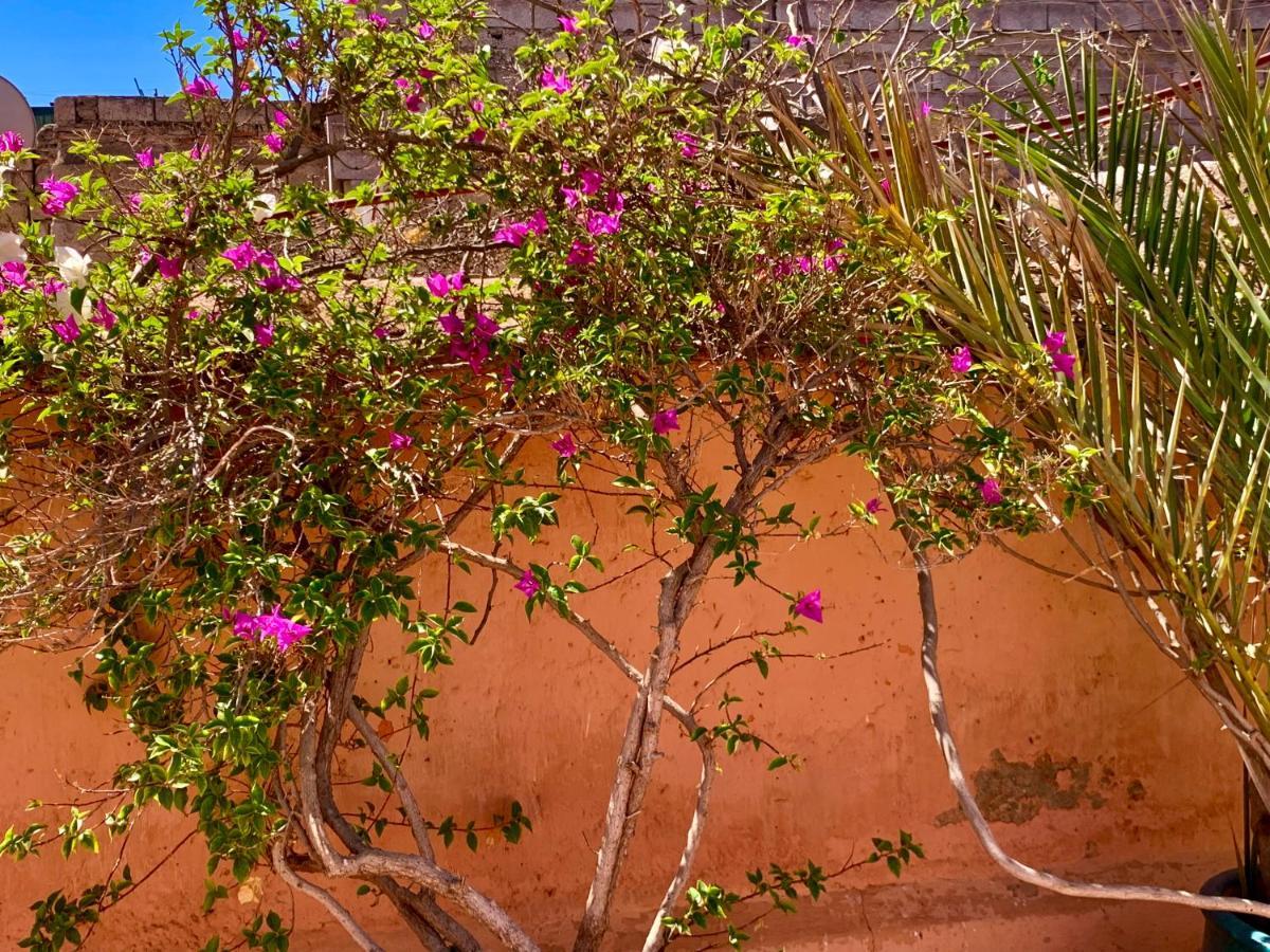 Dar Zemrane Hotel Marrakesh Luaran gambar