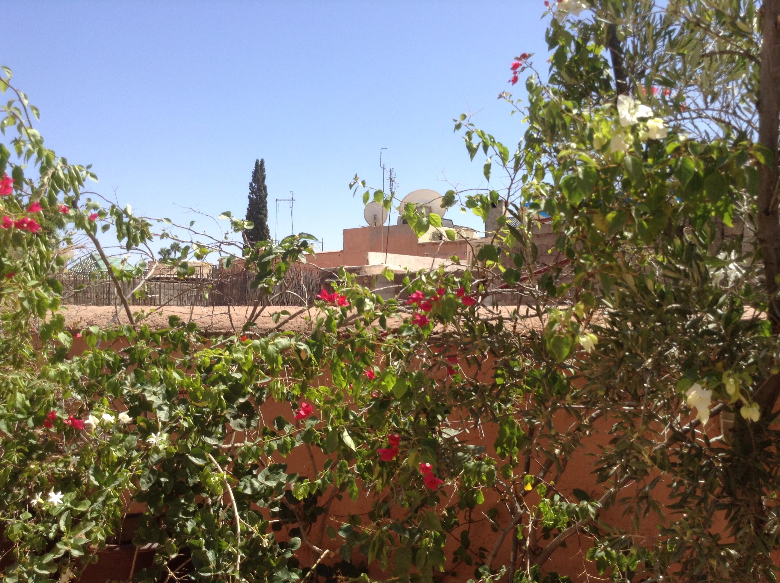 Dar Zemrane Hotel Marrakesh Luaran gambar